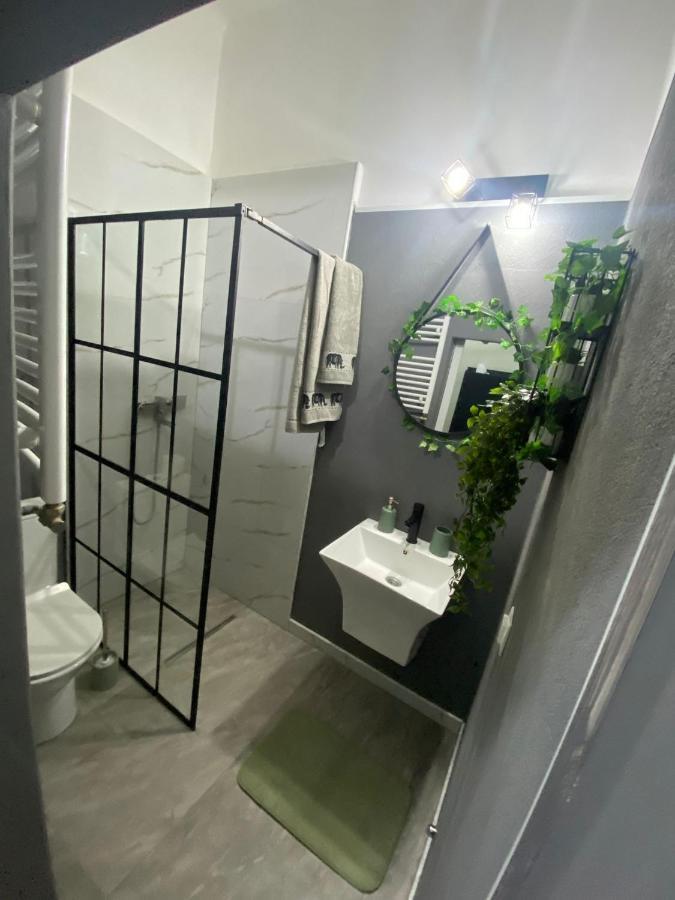 Green Vibes Central บราชอฟ ภายนอก รูปภาพ